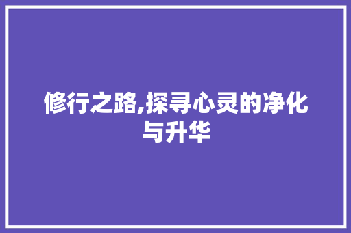 修行之路,探寻心灵的净化与升华