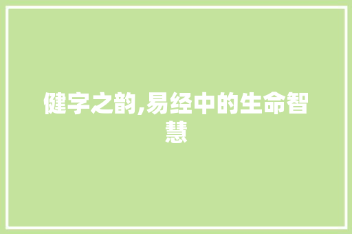 健字之韵,易经中的生命智慧