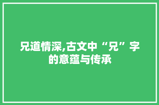 兄道情深,古文中“兄”字的意蕴与传承