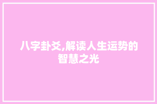 八字卦爻,解读人生运势的智慧之光