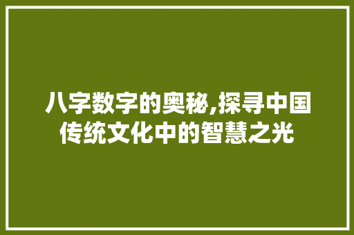八字数字的奥秘,探寻中国传统文化中的智慧之光