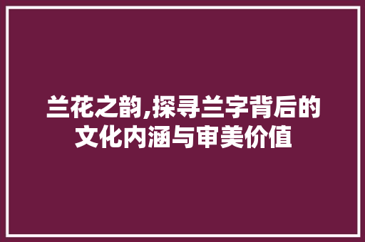 兰花之韵,探寻兰字背后的文化内涵与审美价值