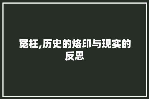 冤枉,历史的烙印与现实的反思
