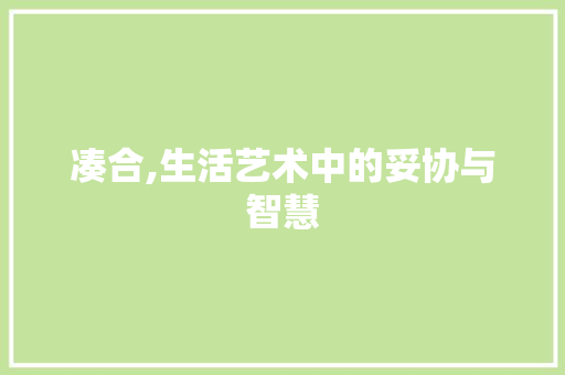 凑合,生活艺术中的妥协与智慧 合同协议范文