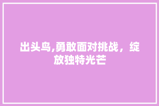 出头鸟,勇敢面对挑战，绽放独特光芒