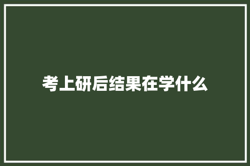 考上研后结果在学什么
