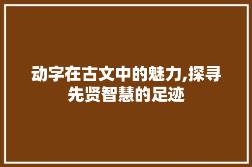 动字在古文中的魅力,探寻先贤智慧的足迹