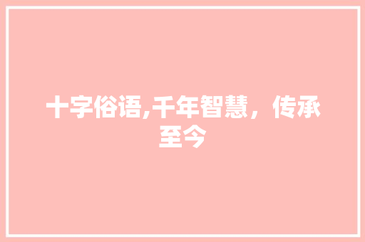 十字俗语,千年智慧，传承至今