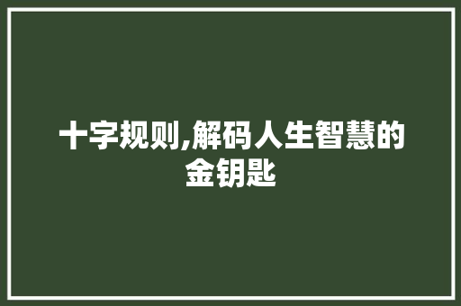 十字规则,解码人生智慧的金钥匙
