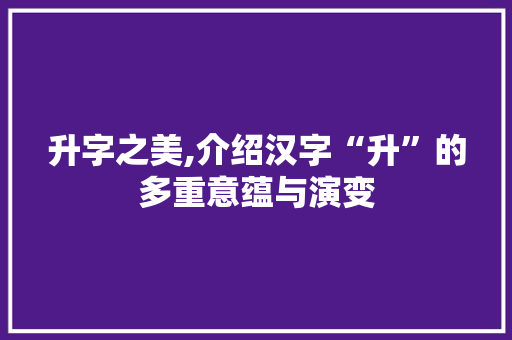 升字之美,介绍汉字“升”的多重意蕴与演变 科技报告范文