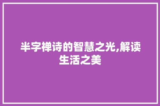 半字禅诗的智慧之光,解读生活之美