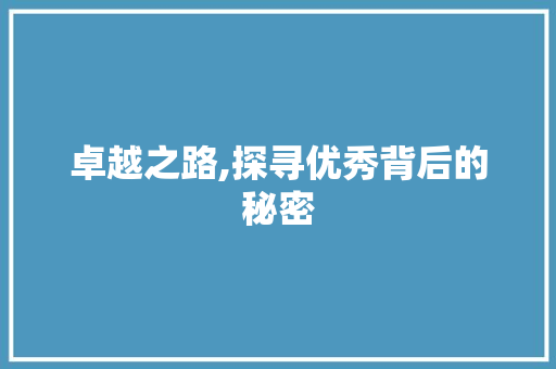 卓越之路,探寻优秀背后的秘密