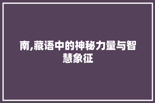 南,藏语中的神秘力量与智慧象征