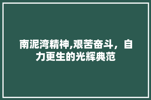 南泥湾精神,艰苦奋斗，自力更生的光辉典范