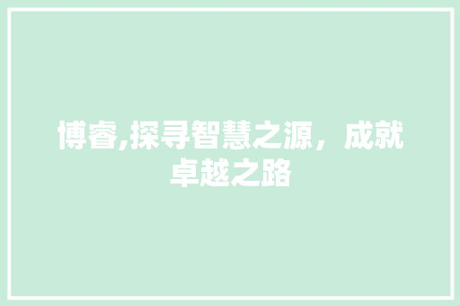 博睿,探寻智慧之源，成就卓越之路