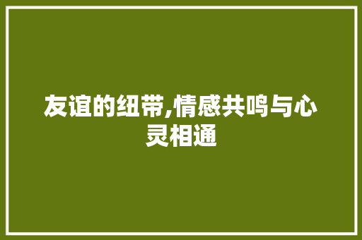 友谊的纽带,情感共鸣与心灵相通