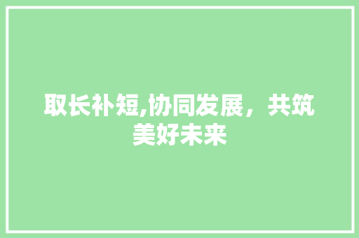 取长补短,协同发展，共筑美好未来