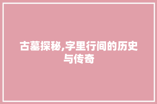 古墓探秘,字里行间的历史与传奇