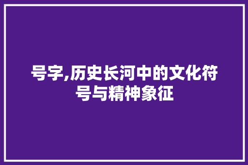 号字,历史长河中的文化符号与精神象征