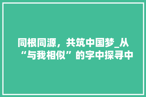 同根同源，共筑中国梦_从“与我相似”的字中探寻中华文化的精髓