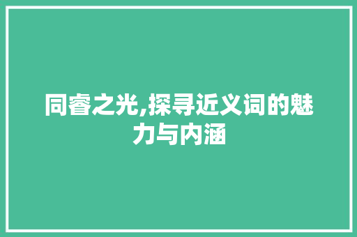 同睿之光,探寻近义词的魅力与内涵