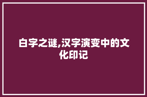 白字之谜,汉字演变中的文化印记