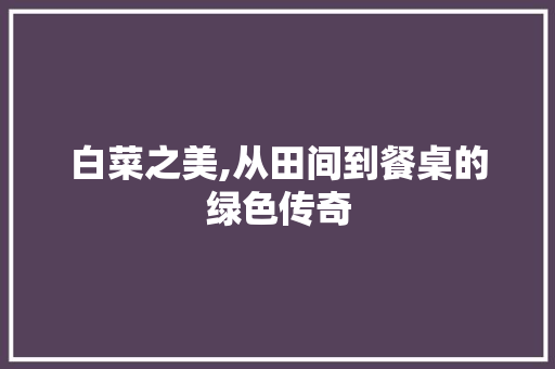 白菜之美,从田间到餐桌的绿色传奇