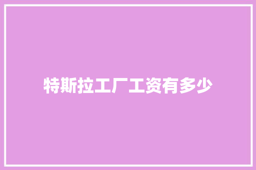 特斯拉工厂工资有多少
