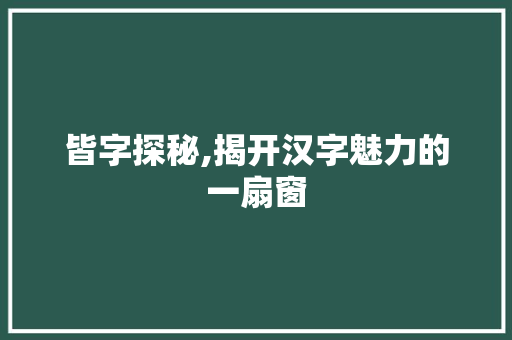 皆字探秘,揭开汉字魅力的一扇窗