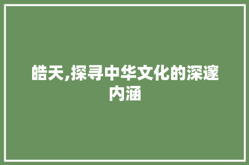 皓天,探寻中华文化的深邃内涵