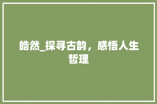 皓然_探寻古韵，感悟人生哲理