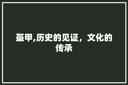 盔甲,历史的见证，文化的传承
