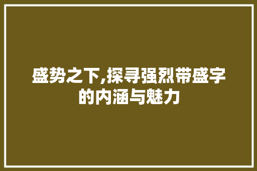 盛势之下,探寻强烈带盛字的内涵与魅力