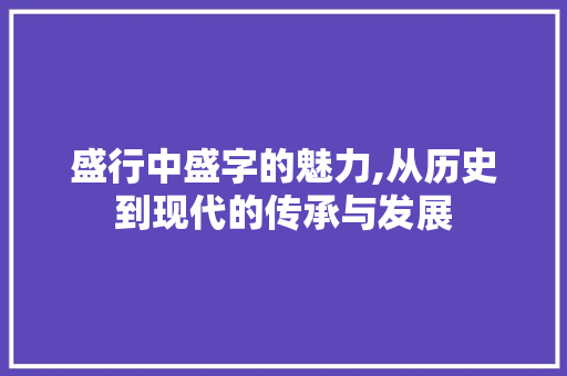 盛行中盛字的魅力,从历史到现代的传承与发展