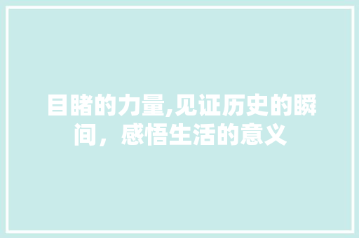目睹的力量,见证历史的瞬间，感悟生活的意义
