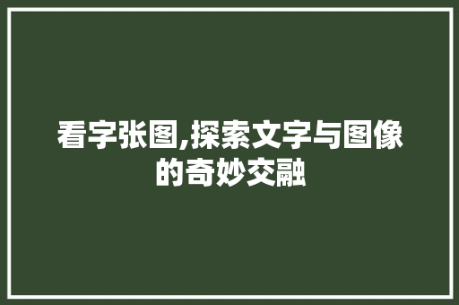 看字张图,探索文字与图像的奇妙交融