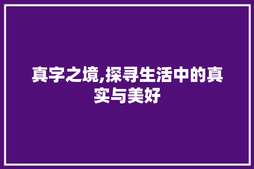 真字之境,探寻生活中的真实与美好