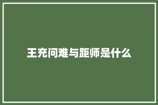 王充问难与距师是什么