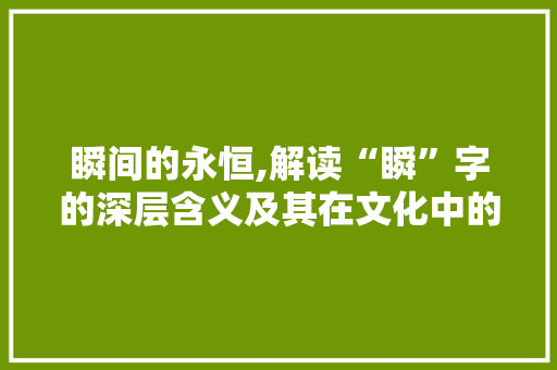 瞬间的永恒,解读“瞬”字的深层含义及其在文化中的影响