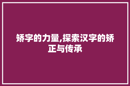 矫字的力量,探索汉字的矫正与传承