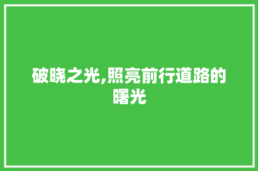 破晓之光,照亮前行道路的曙光