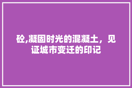 砼,凝固时光的混凝土，见证城市变迁的印记