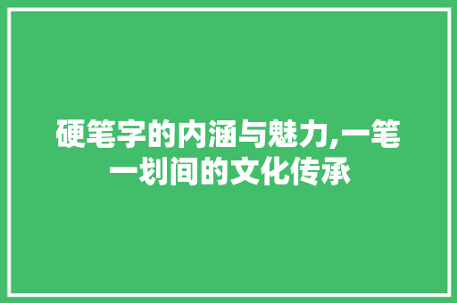 硬笔字的内涵与魅力,一笔一划间的文化传承
