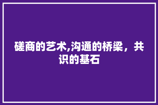 磋商的艺术,沟通的桥梁，共识的基石
