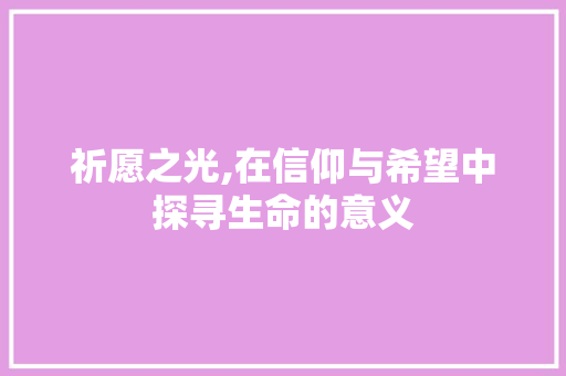 祈愿之光,在信仰与希望中探寻生命的意义