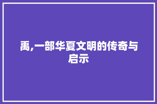 禹,一部华夏文明的传奇与启示