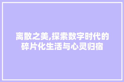离散之美,探索数字时代的碎片化生活与心灵归宿