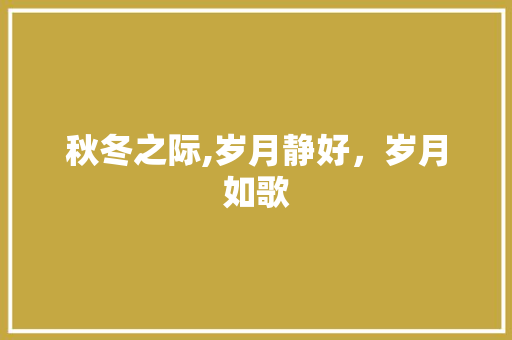 秋冬之际,岁月静好，岁月如歌