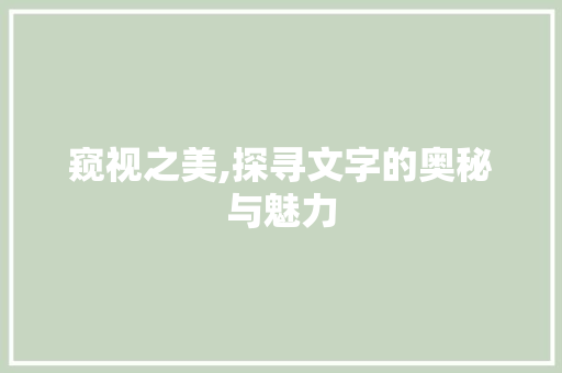 窥视之美,探寻文字的奥秘与魅力