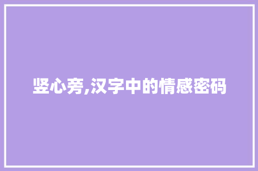 竖心旁,汉字中的情感密码